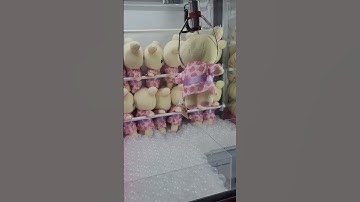 payout time at round 1. New Rilakkuma plush! #round1 #clawmachine #rilakkuma #plush #japan