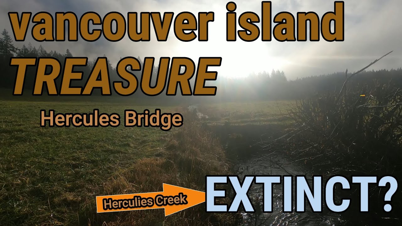 Vancouver Island Treasure Extinct?