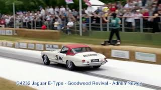 C4232 Jaguar E-Type - Goodwood Revival - Adrian Newey