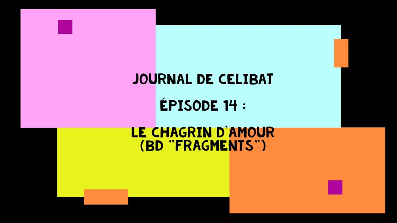Journal de célibat, épisode 14 : le chagrin d'amour (BD "Fragments" d