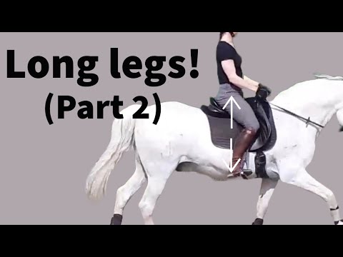 Long legs part 2: Stirrup length + best tip to get your heel down ...