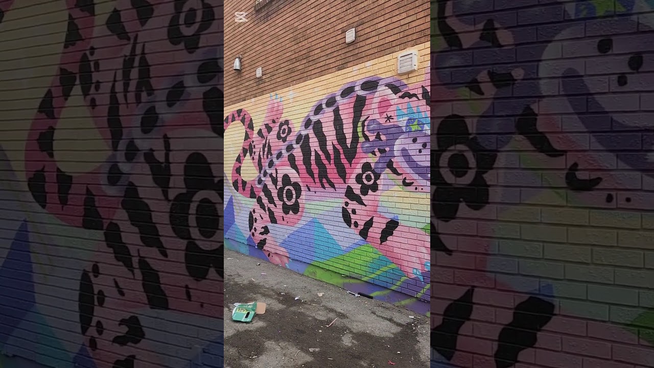 Pink tiger and other graffiti 