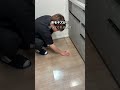 この発想マジで天才すぎる！ #便利 #便利グッズ #便利アイテム #キッチン #short #shorts #shortvideo