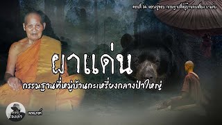 กรรมฐานที่ผาแด่น หมู่บ้านกระเหรี่ยงกลางป่าใหญ่ ตอนที่ 14 | หลวงปู่ชอบ ฐานะสโม