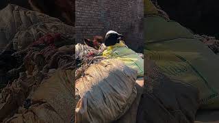 a normal day in village peshawar Pakistan #india #pakistan #london love story movies cartoon network