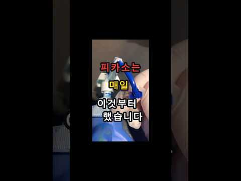 피카소는 매일 이것부터 했습니다