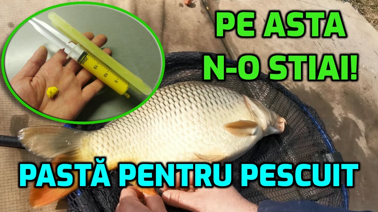 Pasta pentru pescuit la pluta, unii o stiu de SEMOLINA si pescuiesc cu ea la crap și caras
