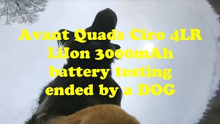 Avant Quads Ciro 4Lr - Liion 3000Mah Battery Testing Ended By A Dog