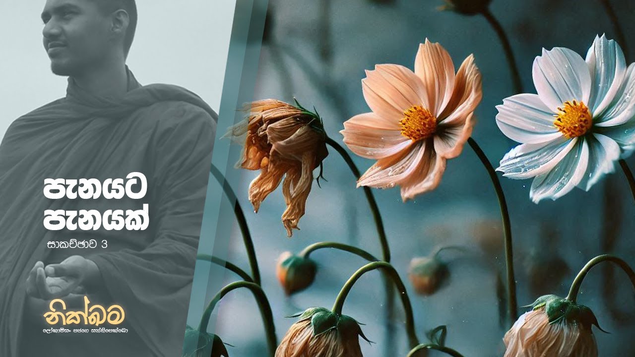 කෙසේ මෙසේ වීද ? 💎💍👓 | දම් විමසුම 3 | 2024.12.29 | අකම්පිත