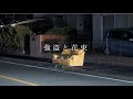 強盗と花束 (ヨルシカ) / megu cover