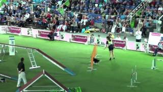 Rev FCI 2011 Individual Agility