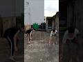 Ultimate Reflex Race: 12 Glasses vs 2 Contestants! 🏃‍♂️⚡ #shorts #ytshorts