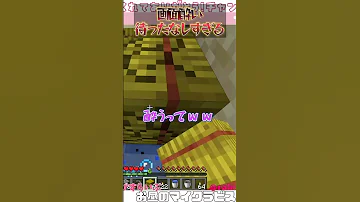 Minecraft 画面酔いするｗｗｗ まいくら マインクラフト Minecraft マイクラ まいくら 