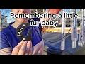 I love how this wind chime audibly reminds me of my fur baby!