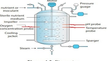 Principles and processes  of Biotechnology-TAMIL-12 th std Botany-Fermentation and procedure-