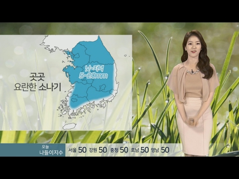 [날씨] 초여름 날씨 계속…낮부터 곳곳 소나기 / 연합뉴스TV (YonhapnewsTV)