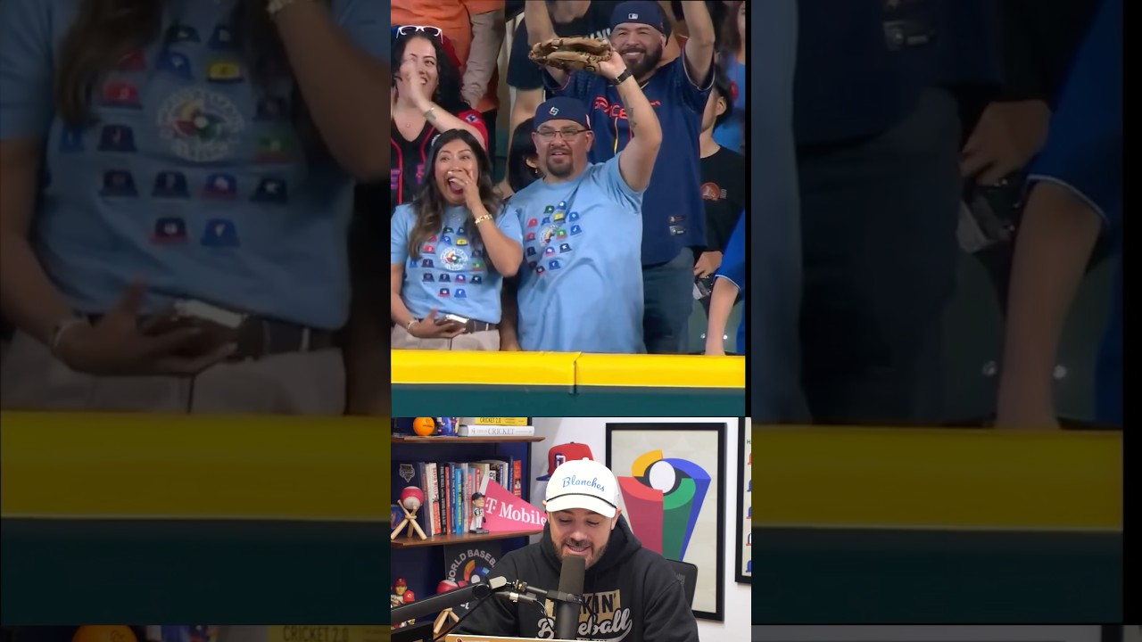 Everyone except this fan immediately knew he interfered, a breakdown