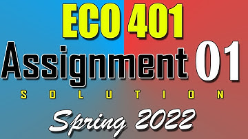 ECO401 Assignment 1 Solution Spring 2022 | ECO401 Assignment 1 Solution 2022