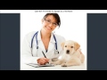 Emergency Vet Orlando   407-710-9150