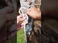 easy and practical knot tying inspiration #diy #ropework #ropesafety #knots #crochet