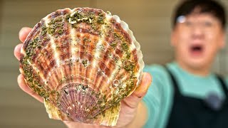 The identity of ‘this scallop’ that has occupied Korea for more than 10 years