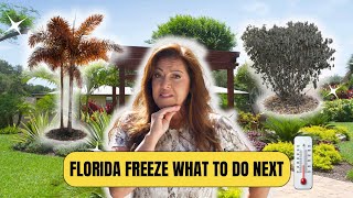 FLORIDA FREEZE: What To Do NEXT to Help Your Plants & Trees 