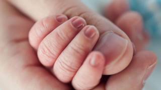 Il Germoglio Di Iesse