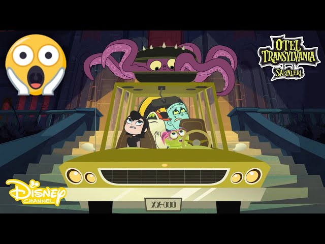 Porno: xola yuziga otiradi