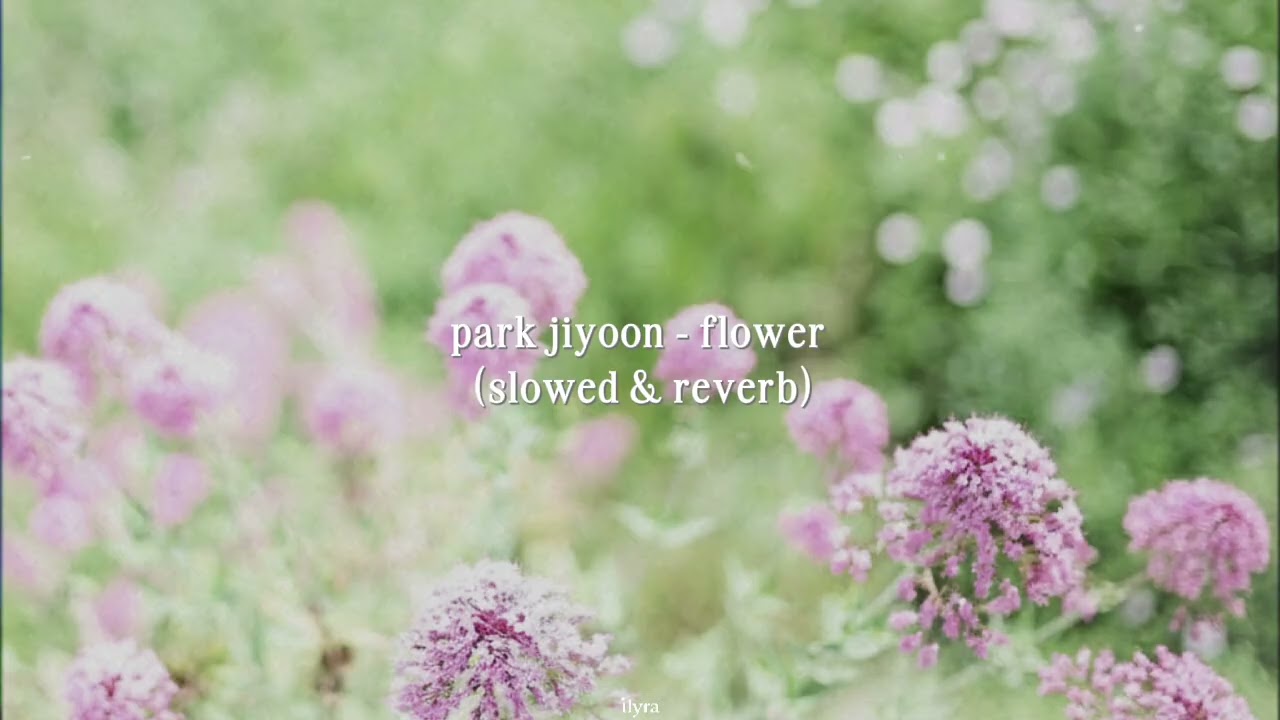 park jiyoon - flower (slowed & reverb) but You hear the sound of a waterfall close by