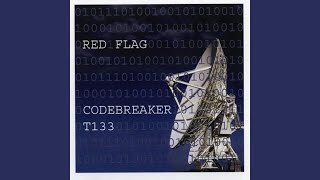 Codebreaker T133