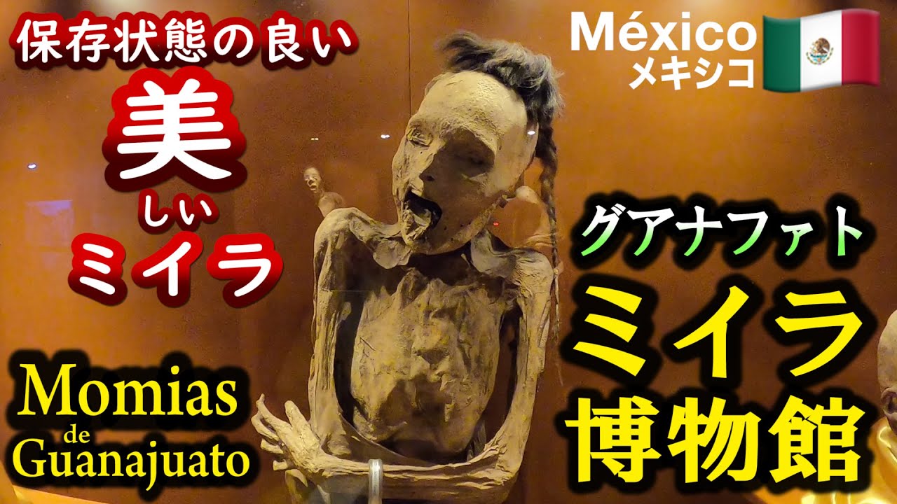 美しいミイラがたくさん！ ミイラ博物館 in メキシコ、グアナファト YouTube