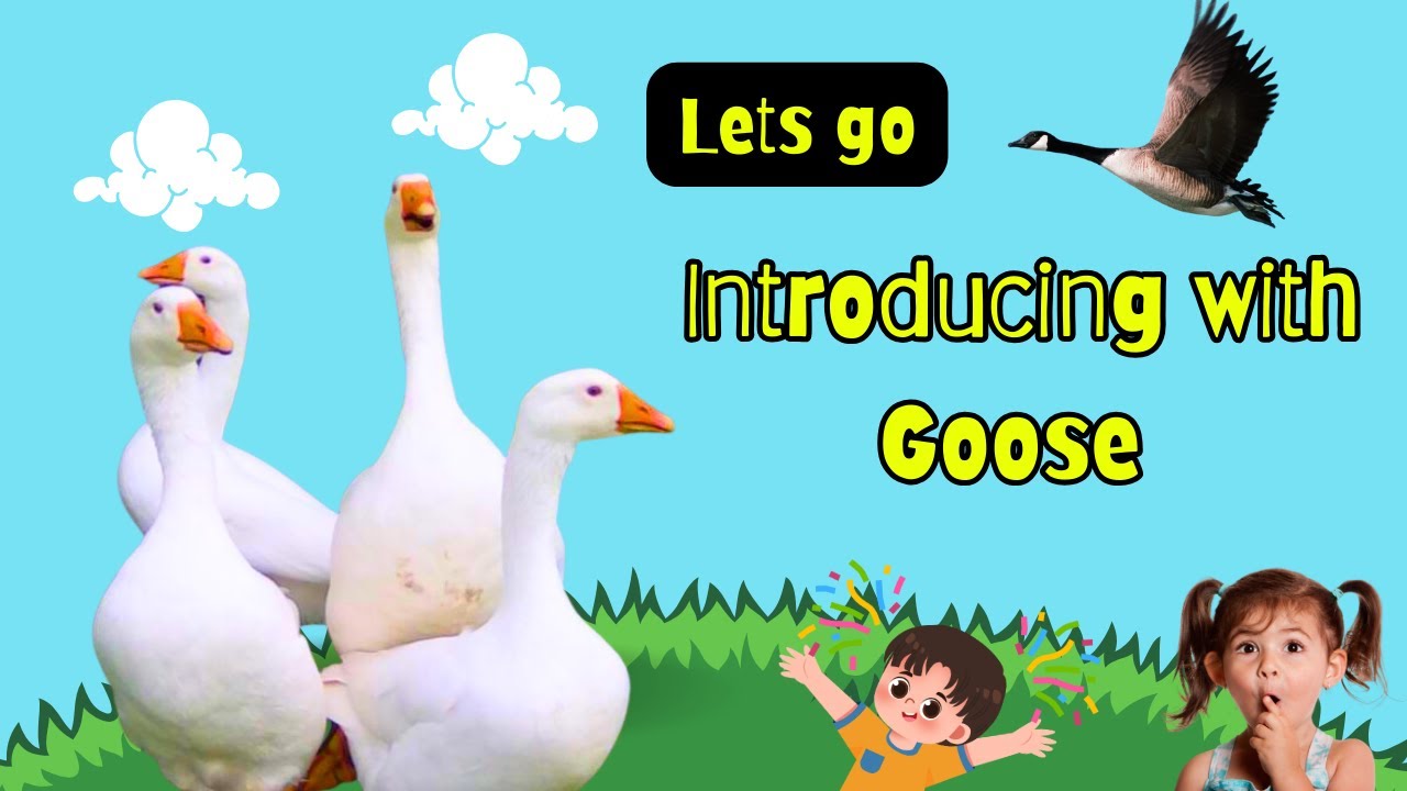 Amazing Goose Facts Every Child Should Know 🦢 #kids - YouTube