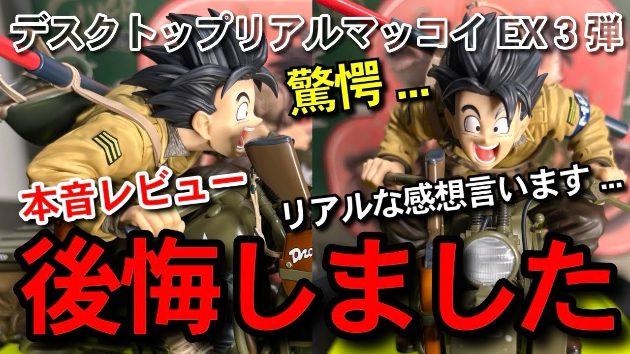 本音レビュー 】後悔しました 最新作 デスクトップリアルマッコイEX