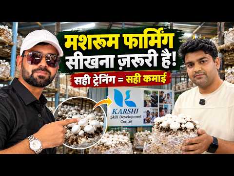 The Reality of Mushroom Farming: It's Not as Easy as Pearl Farming to Earn Lakhs; Learn First, Th...