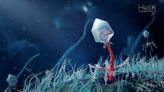 Bacteriophages In Action