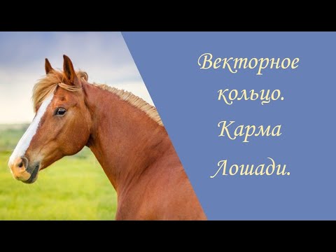Векторное кольцо. Карма Лошади.