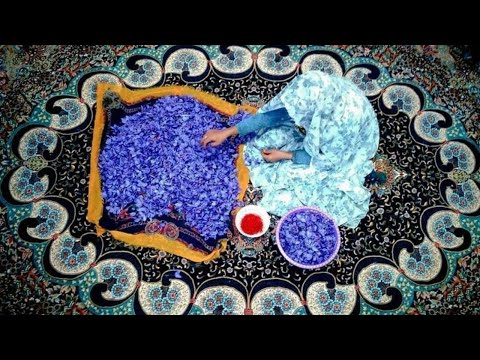 قصيدة أهل حزب الديان للشيخ أحمد العلوي قدس الله سره سماع بودشيشي