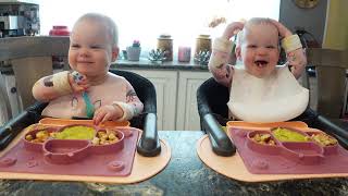 Twins try broccoli cheddar soup!
