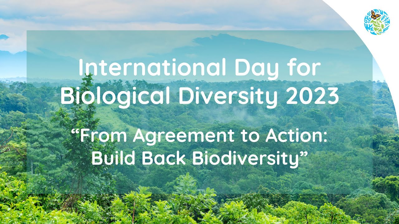 International Day for Biological Diversity 2023 — From Agreement to Action Build Back