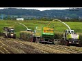 Mais 2019 : Vital Laschet / TB Agri / 2x Claas Jaguar / 9x Fendt / 4K / Maisernte XL