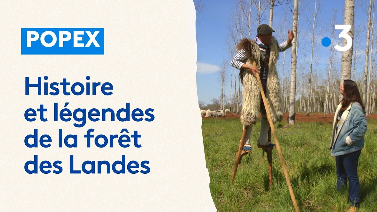 Popex EXTRAIT. Popex explore l'histoire et les légendes de la forêt des ...