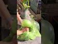 May Day baby has slipped away 🥹 #slime #stressreliefandhealingvideo #bubbleglue