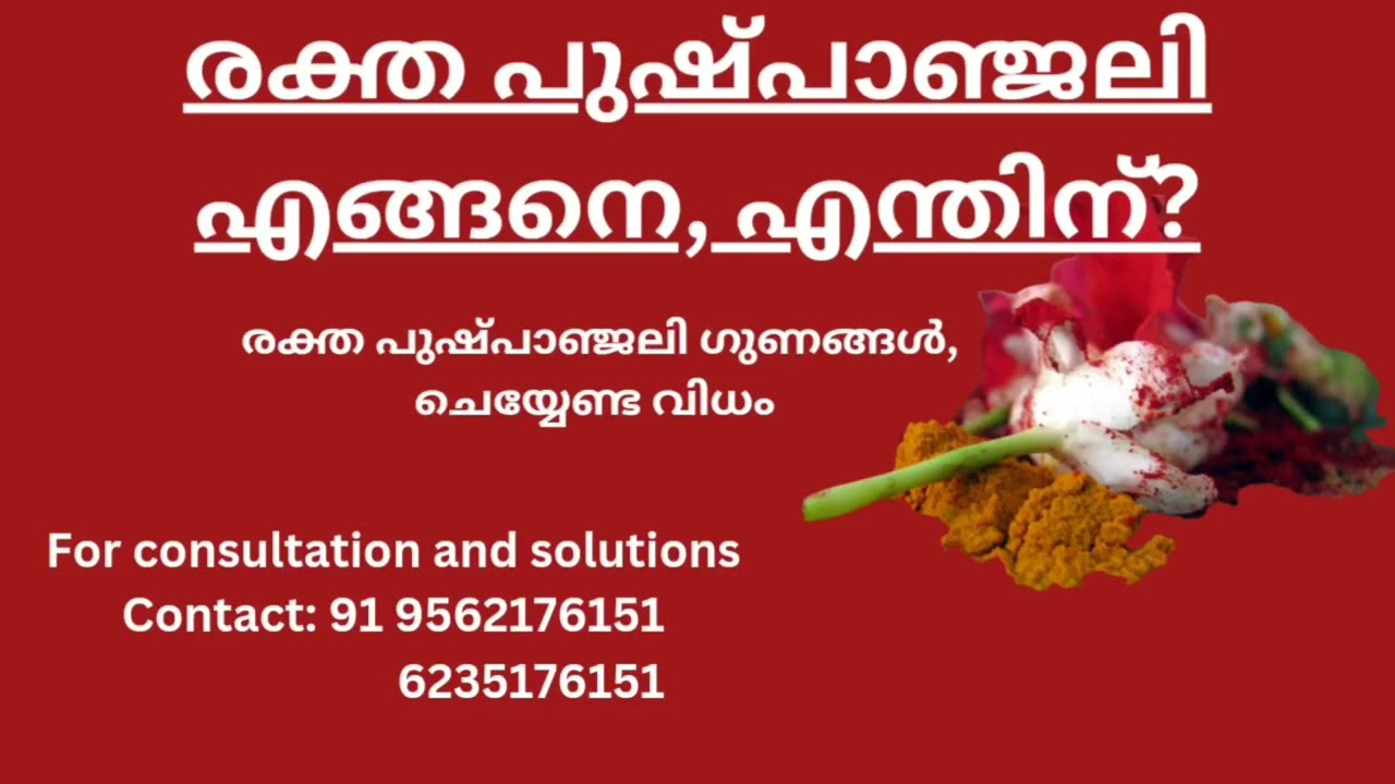 രക്ത പുഷ്പാഞ്ജലി ഗുണങ്ങൾ ...raktha pushpanjali