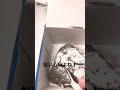 第二弾❗️ピザ屋さんのフォンダンショコラ🍫 おいしいよね