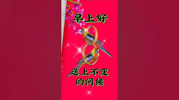 早上好！送上不變的問候。 #祝福 #早安 #祝刷到視頻的朋友好運連連 #早上好#Dj#情歌#前奏曲#音樂分享#粉絲一千萬#健康快樂每一天 - 天天要聞