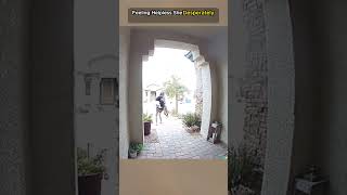 Heroic Delivery Driver❤️