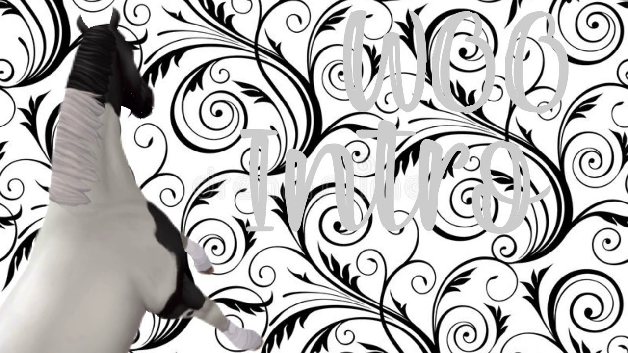 WOO | SSO MEP + OPEN + 3/3 taken