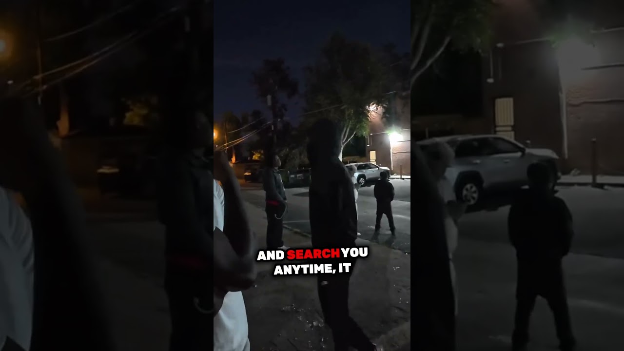 The Unspoken Hierarchy of Fear: Police vs. The Streets in Denver's Hidden Corners.