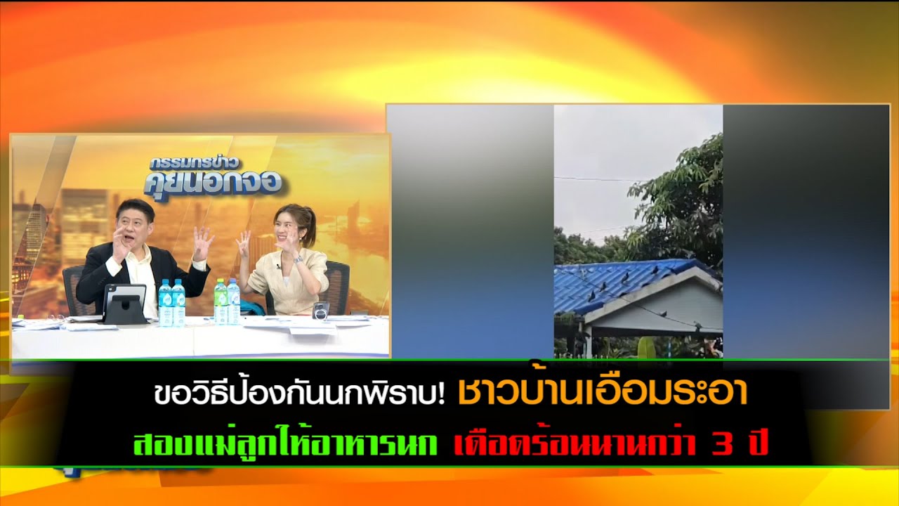 ขอวิธีป้องกันนกพิราบ! ชาวบ้านเจอปัญหาซ้ำซาก! ชาวบ้านเอือมระอาสองแม่ลูกให้อาหารนกนานกว่า 3 ปี