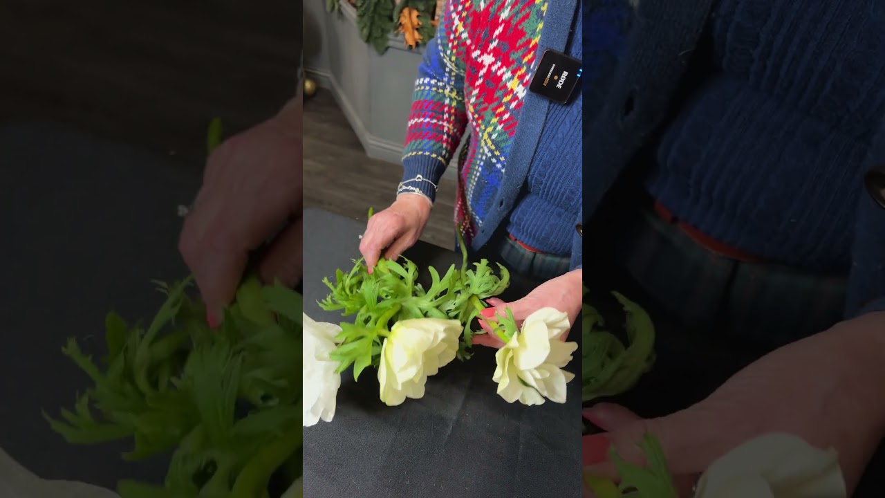 Вдохновение для зимнего дизайна 